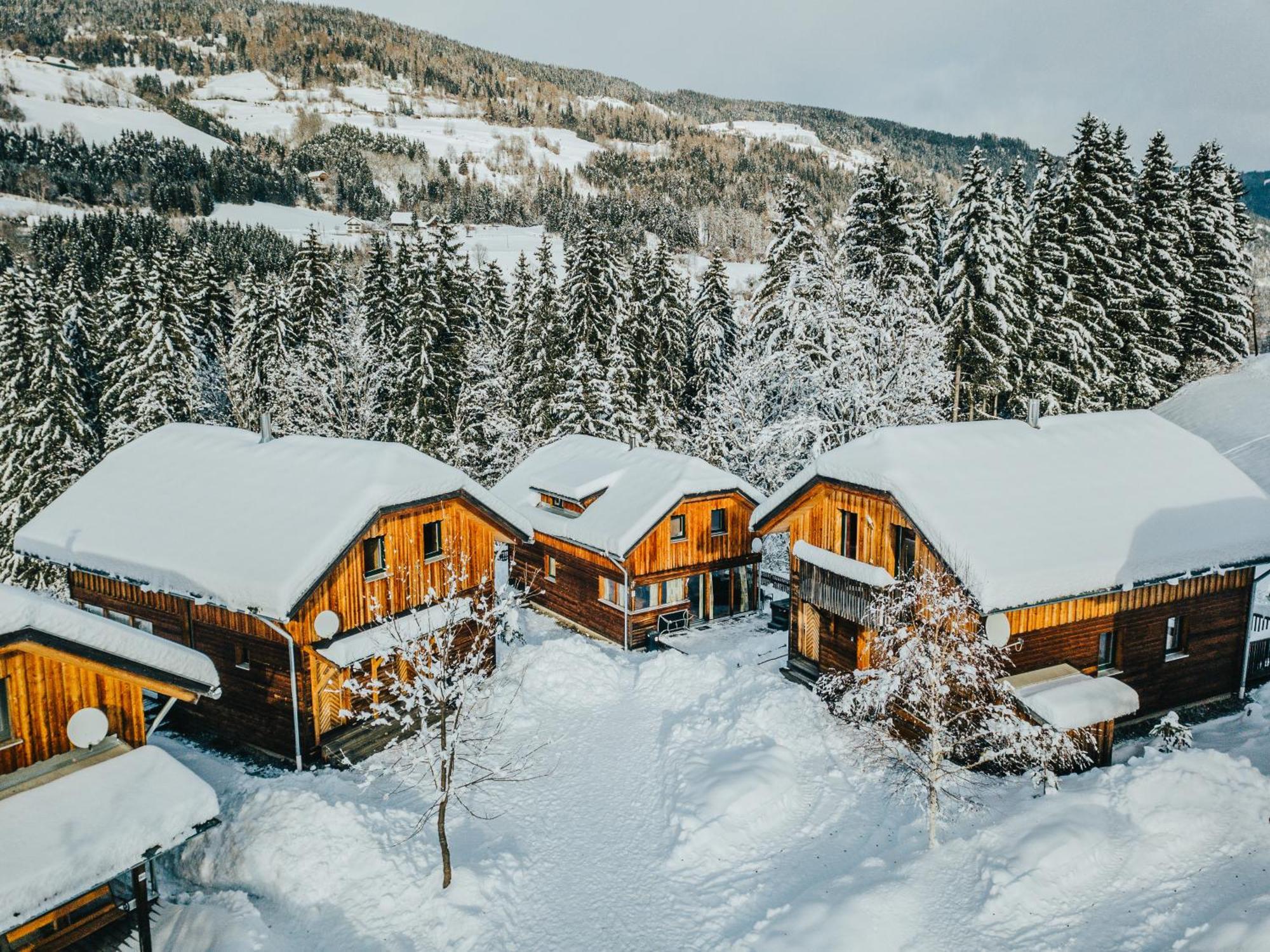 Вілла Woody Park Занкт-Ґеорґен-об-Мурау Екстер'єр фото