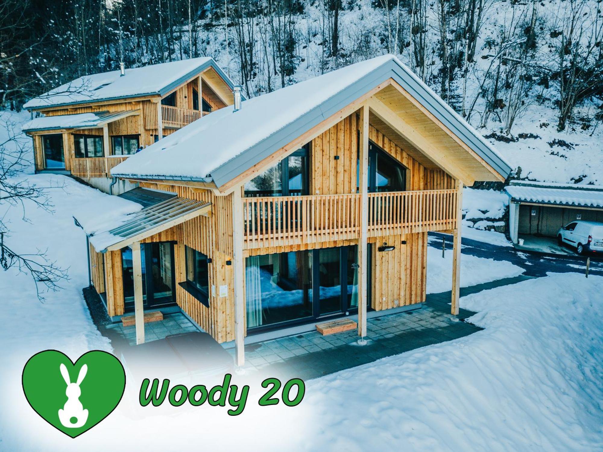 Вілла Woody Park Занкт-Ґеорґен-об-Мурау Екстер'єр фото