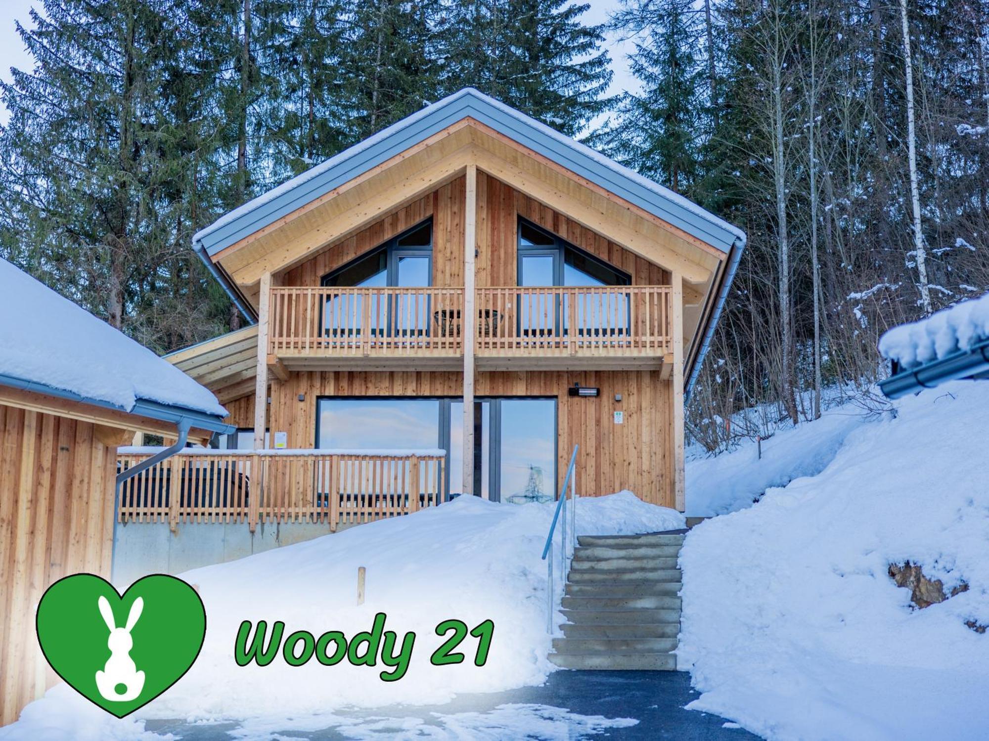 Вілла Woody Park Занкт-Ґеорґен-об-Мурау Екстер'єр фото