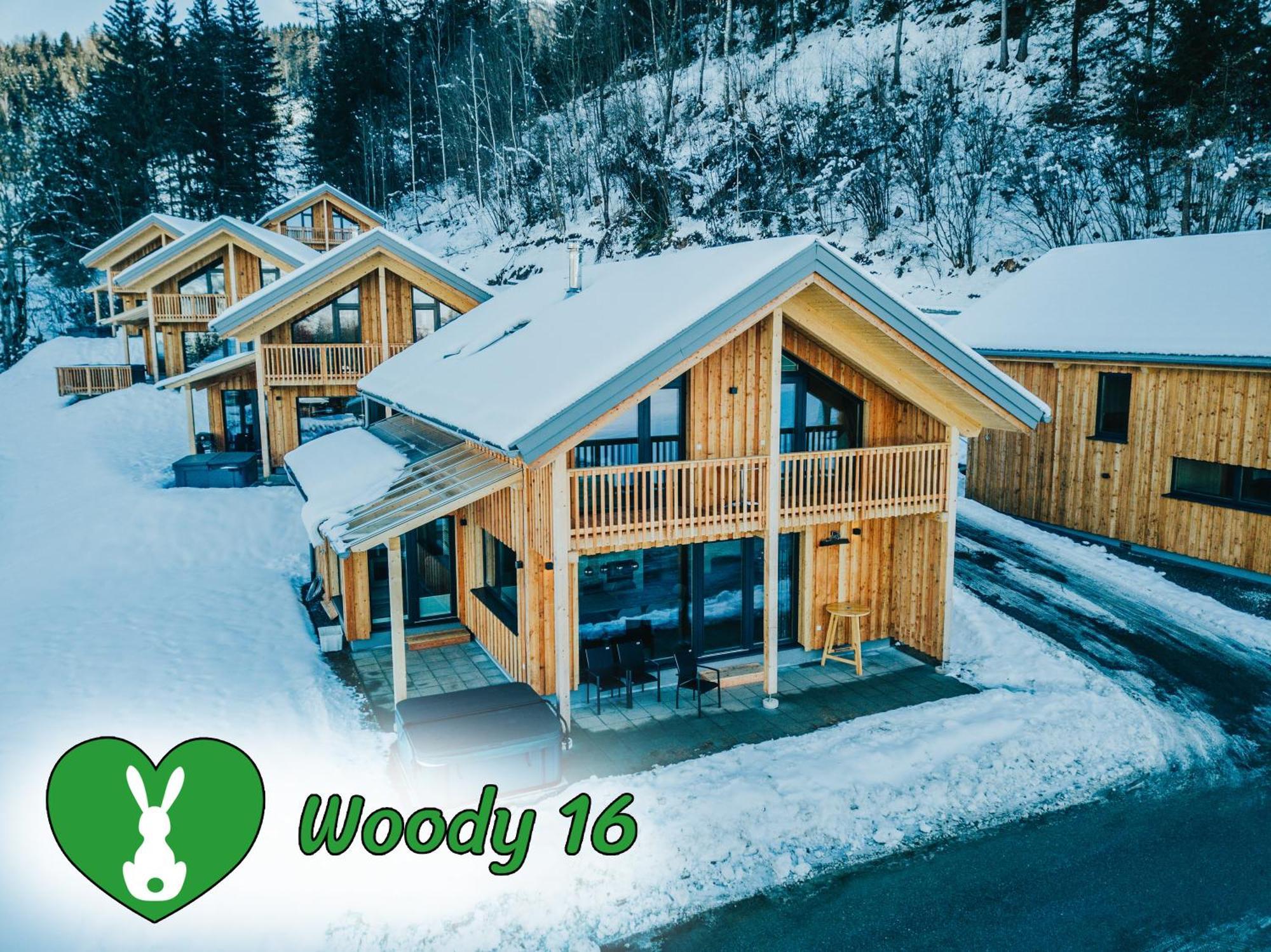 Вілла Woody Park Занкт-Ґеорґен-об-Мурау Екстер'єр фото