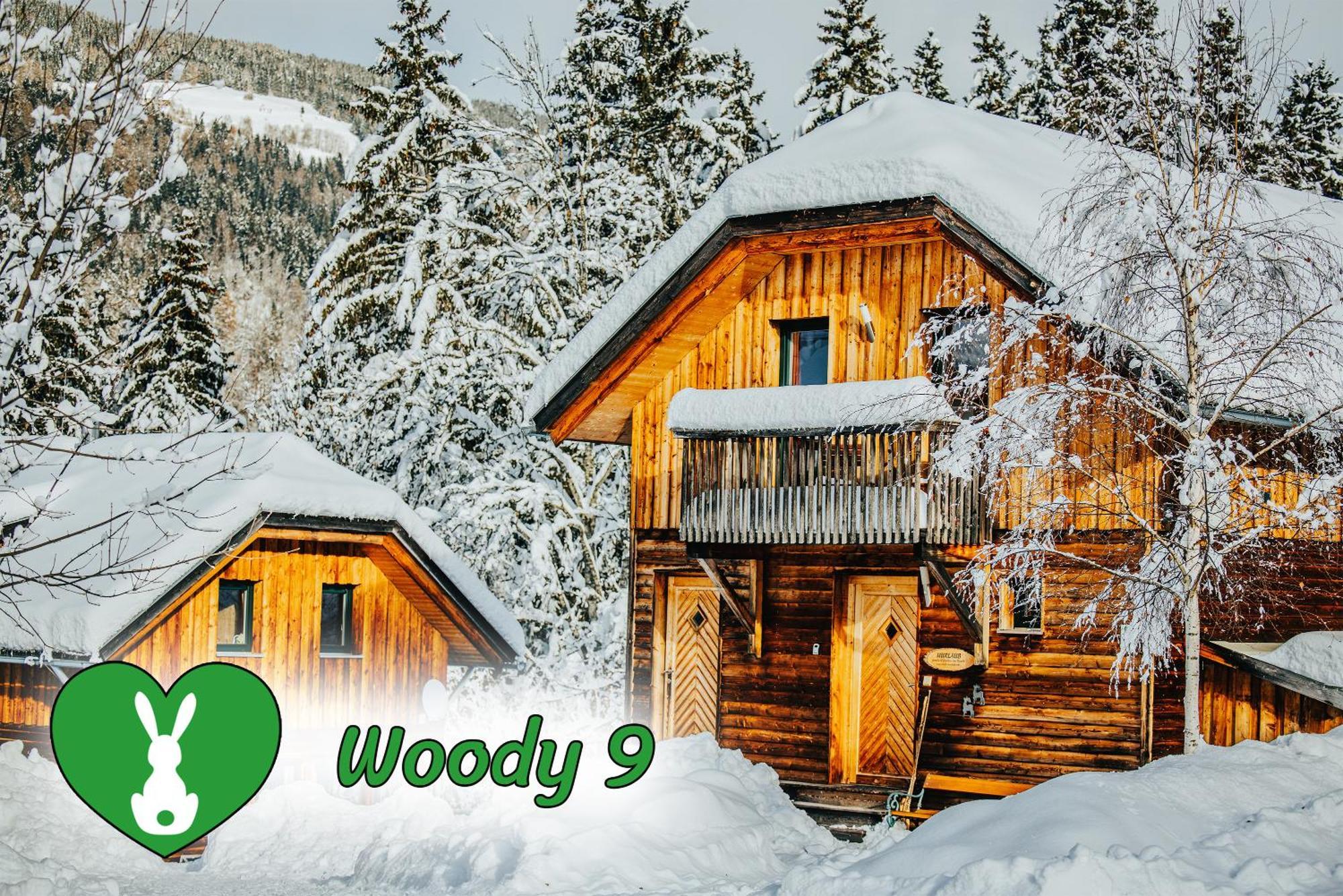 Вілла Woody Park Занкт-Ґеорґен-об-Мурау Екстер'єр фото