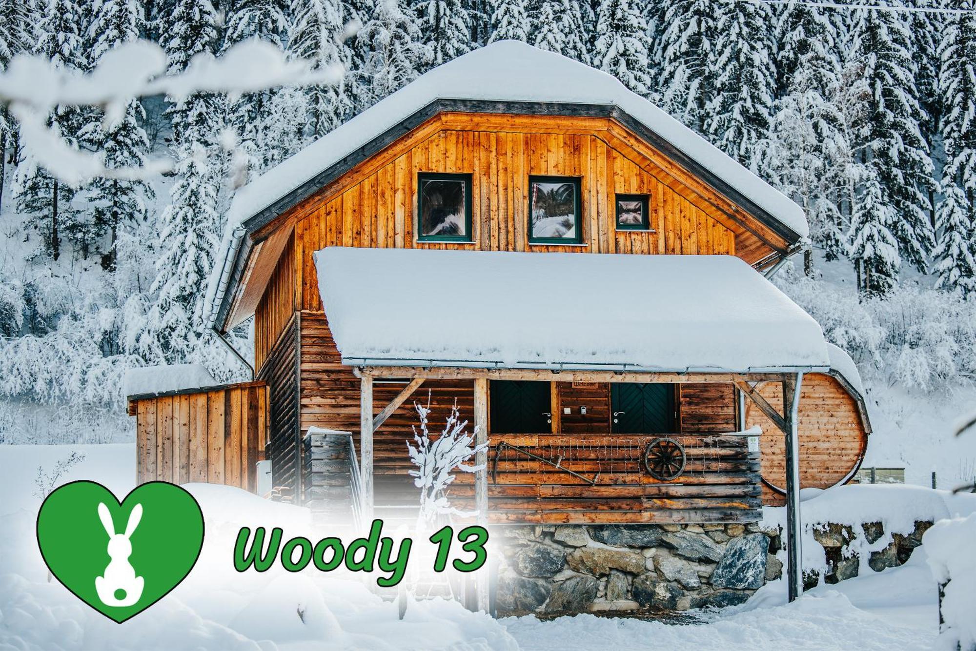 Вілла Woody Park Занкт-Ґеорґен-об-Мурау Екстер'єр фото