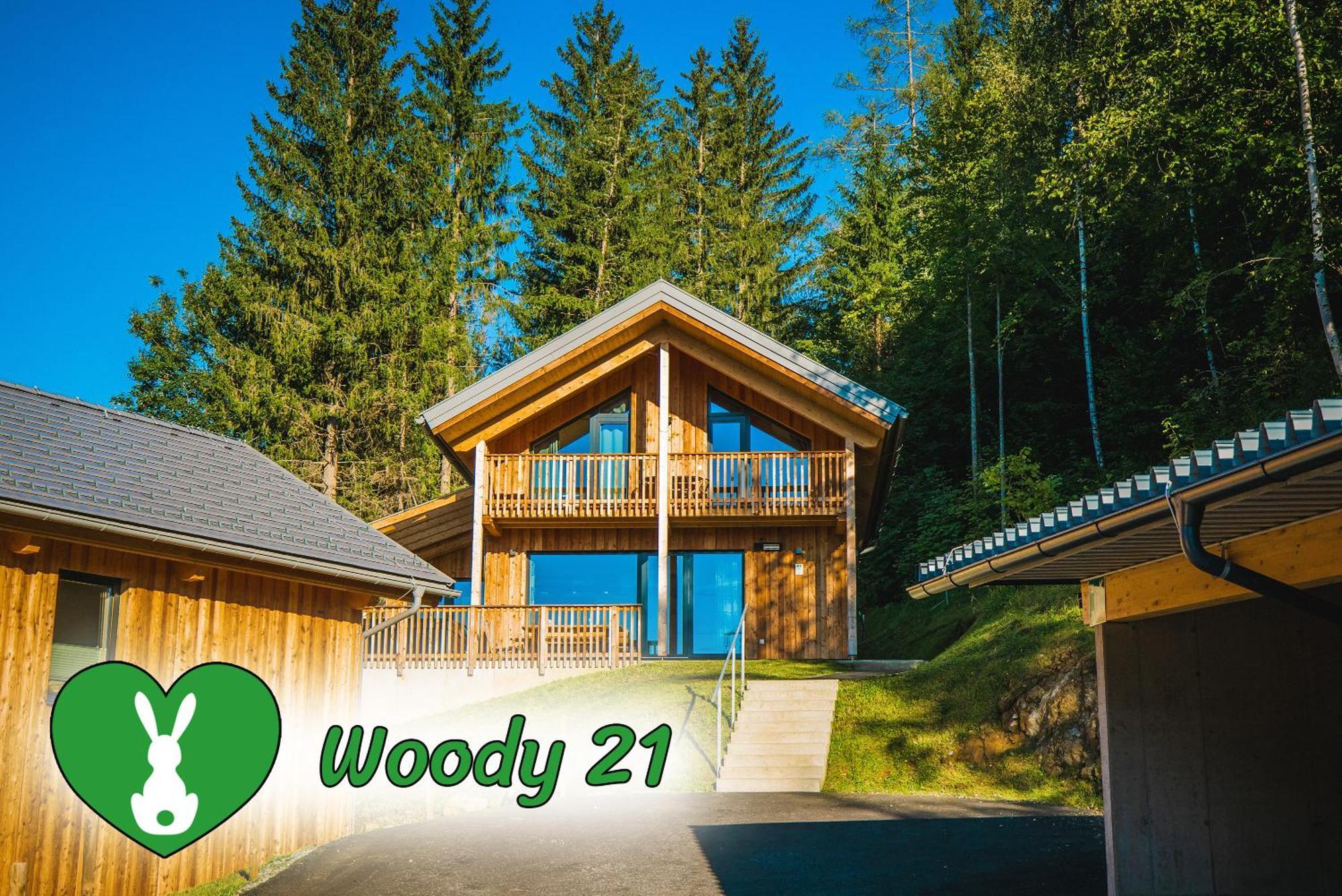 Вілла Woody Park Занкт-Ґеорґен-об-Мурау Екстер'єр фото