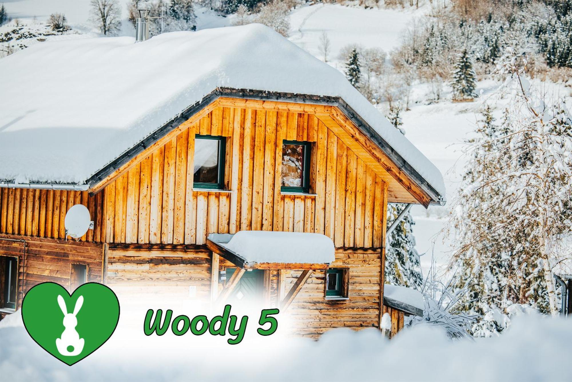 Вілла Woody Park Занкт-Ґеорґен-об-Мурау Екстер'єр фото