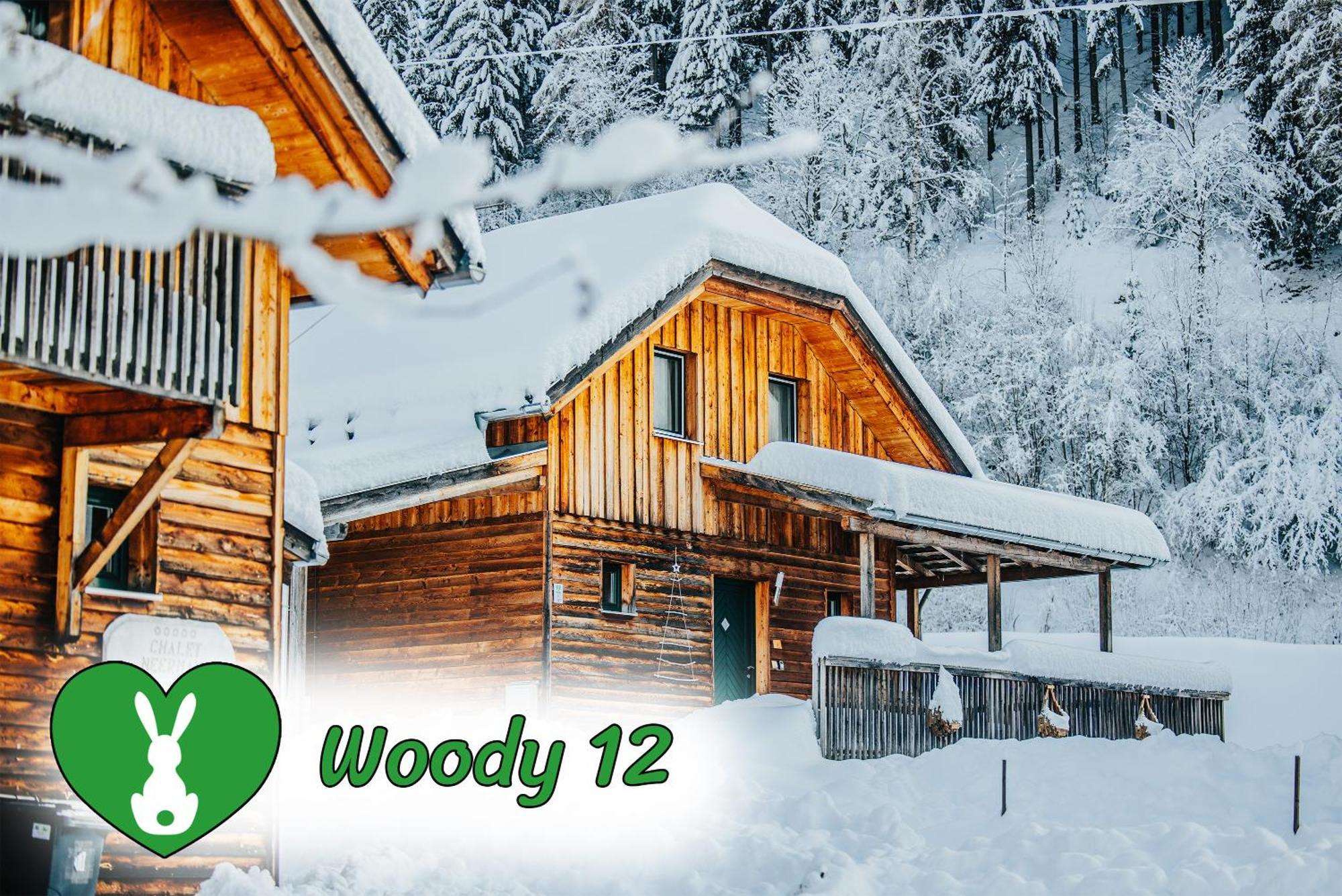 Вілла Woody Park Занкт-Ґеорґен-об-Мурау Екстер'єр фото
